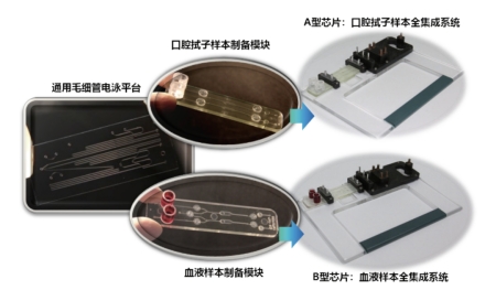 独创的基于微流控毛细管电泳技术的模块化集成芯片卡盒