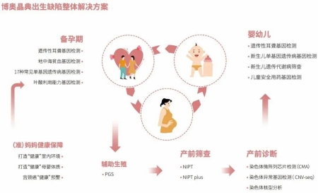 bc贷官网晶典出生缺陷整体解决方案